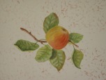 Hand painted apple painted onto sponged paint effect wall